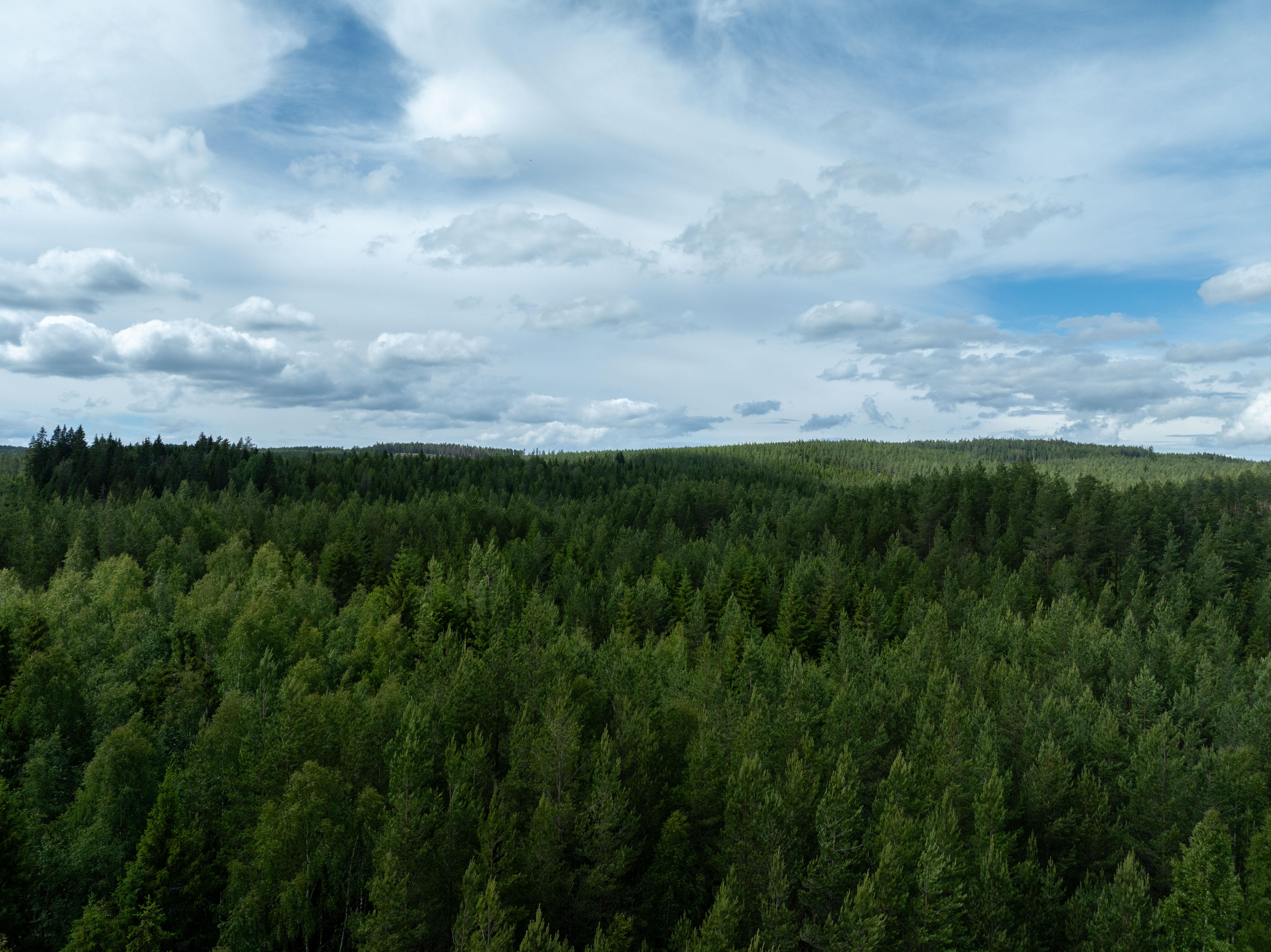 Det aktuella markområdet för biltestanläggningen Climate arena ligger i Sunne. En viktig etablering för Värmland.