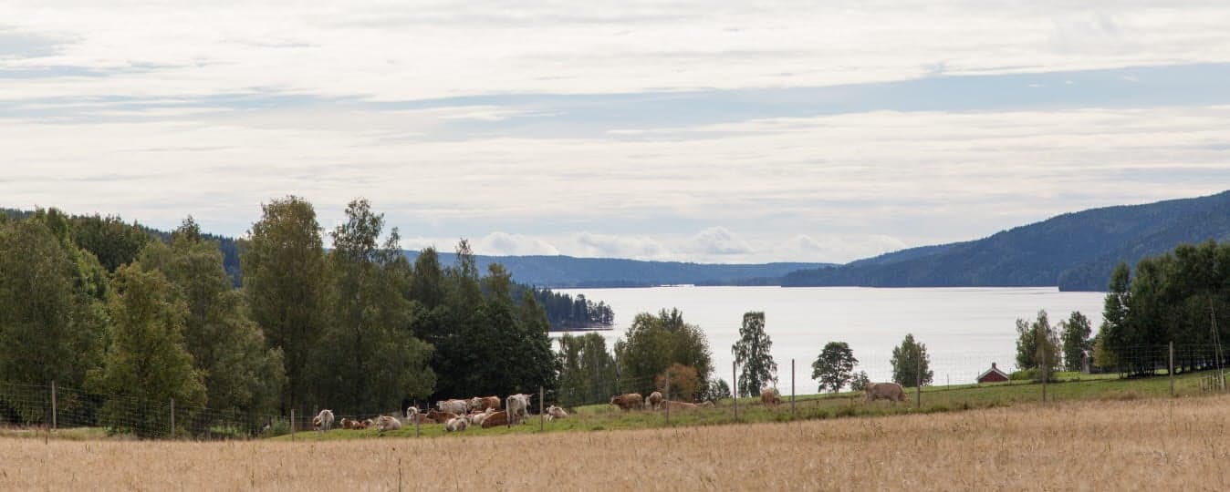 Medborgare i Västra och Östra Ämtervik tillfrågas nu, av Centrum för tjänsteforskning vid Karlstads universitet, om vad de tycker om paketboxar.