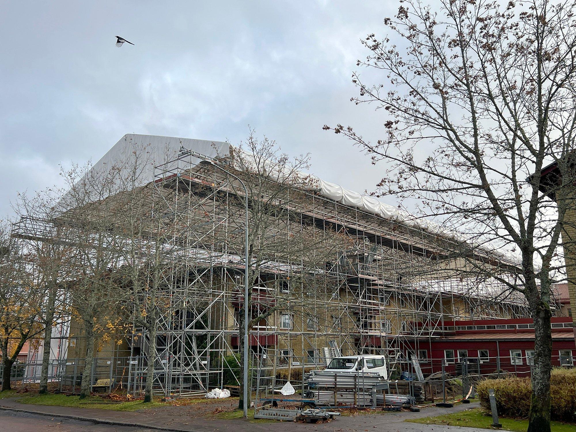 Nästa vecka börjar ett nytt tak byggas på Allégården.