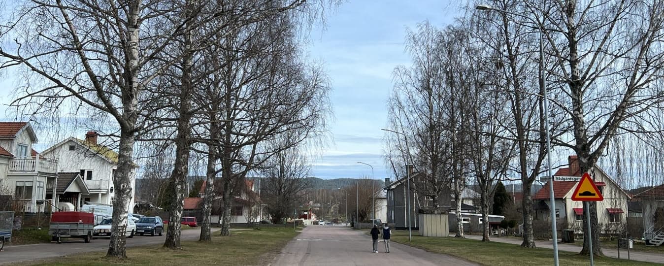 Allén med björkar på Brobygatan i Sunne ska avverkas eftersom de är i dåligt skick. De ersätts med nya träd.