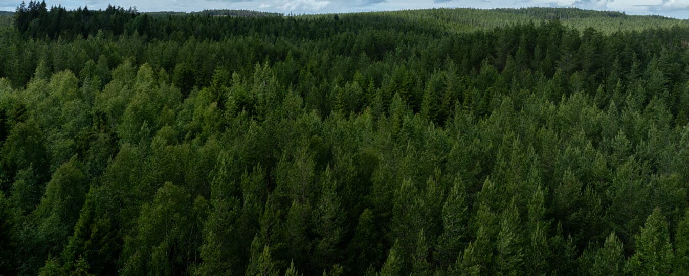 Det aktuella markområdet för biltestanläggningen Climate arena ligger i Sunne. En viktig etablering för Värmland.