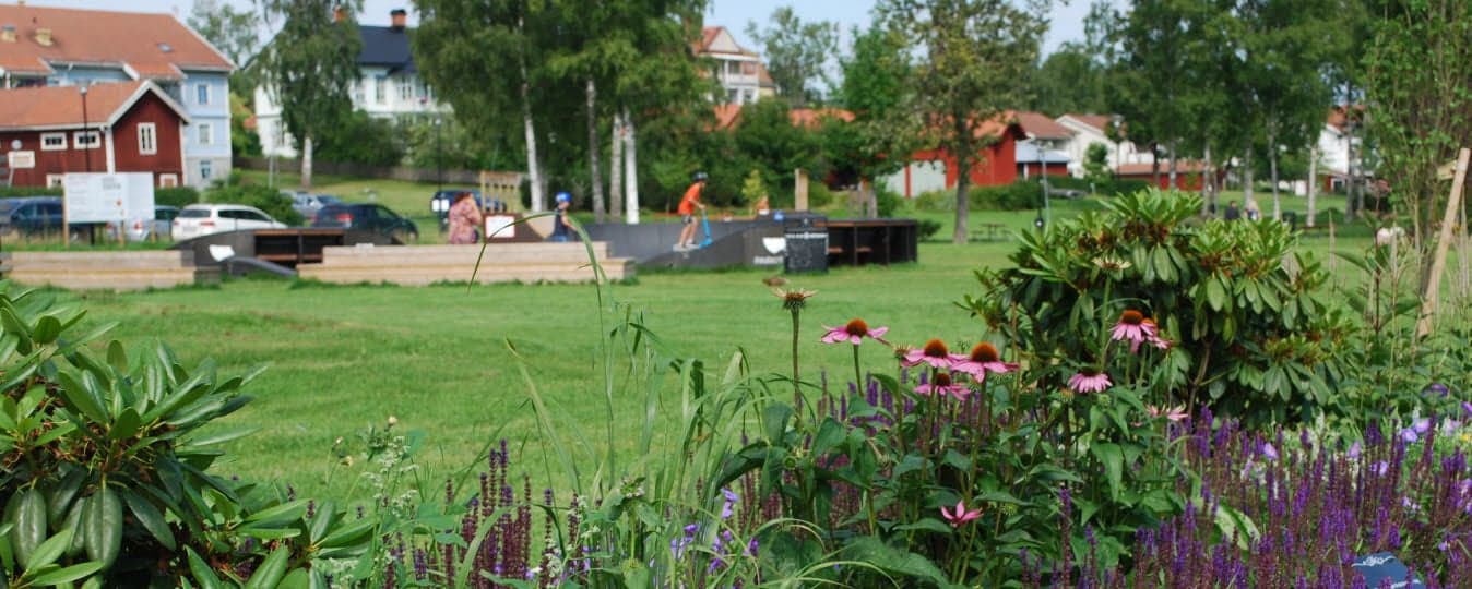 Mejeriängen är en grön oas invid Frykensundet i centrala Sunne med möjligheter till både aktivitet och vila.