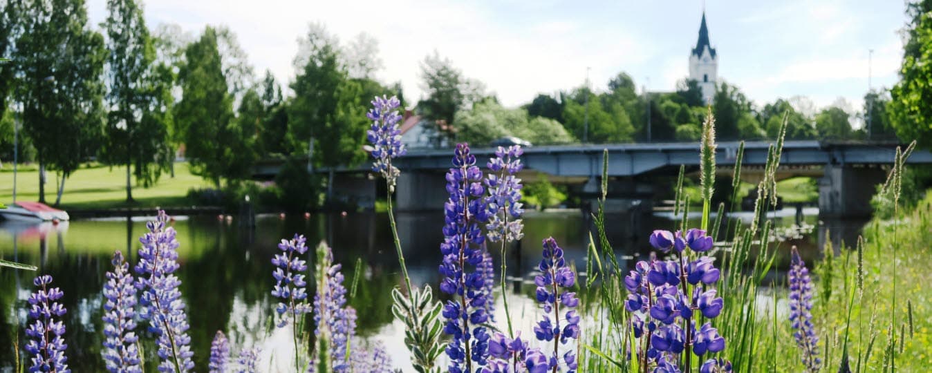 Aktivera alla dina sinnen på upplevelsepromenad i Sunne