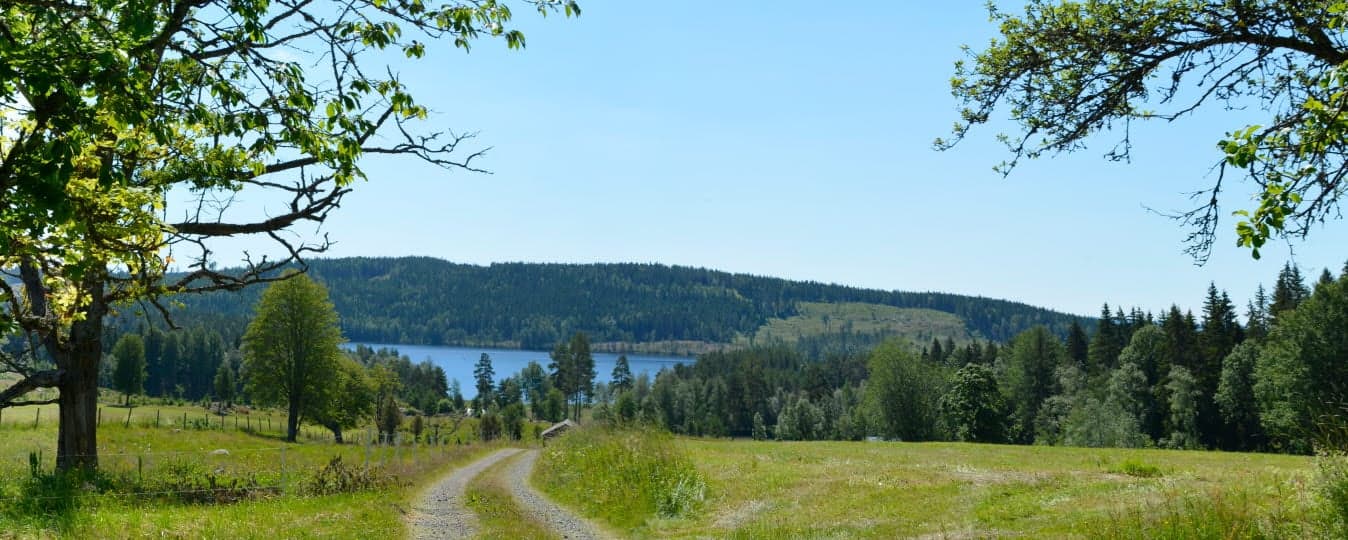 Vy mot en sjö i Ängen.