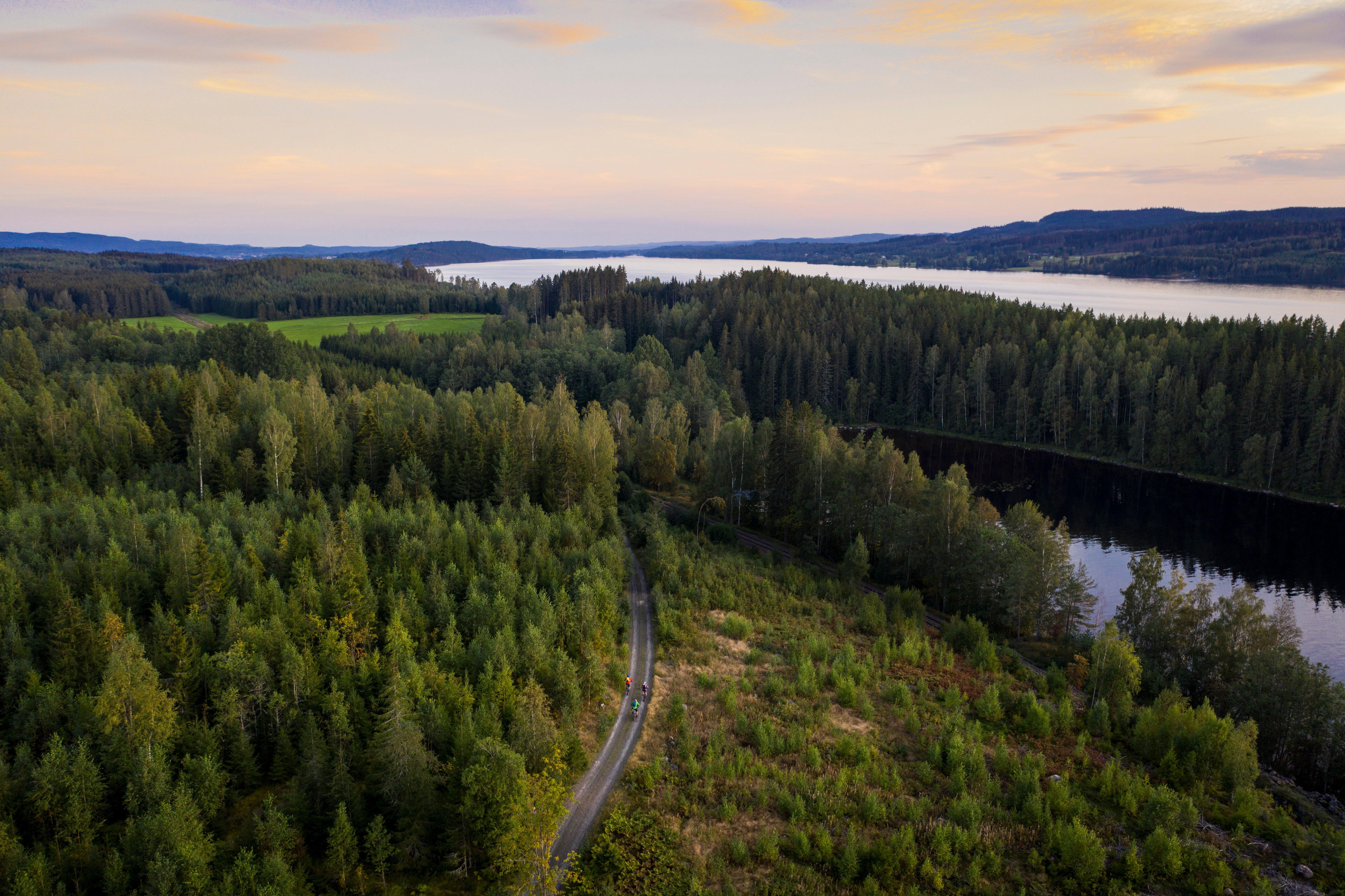 Cirka 100 gymnasieelever i Sunne får kunskap i vilka möjligheter som finns inom skogsnäringen.