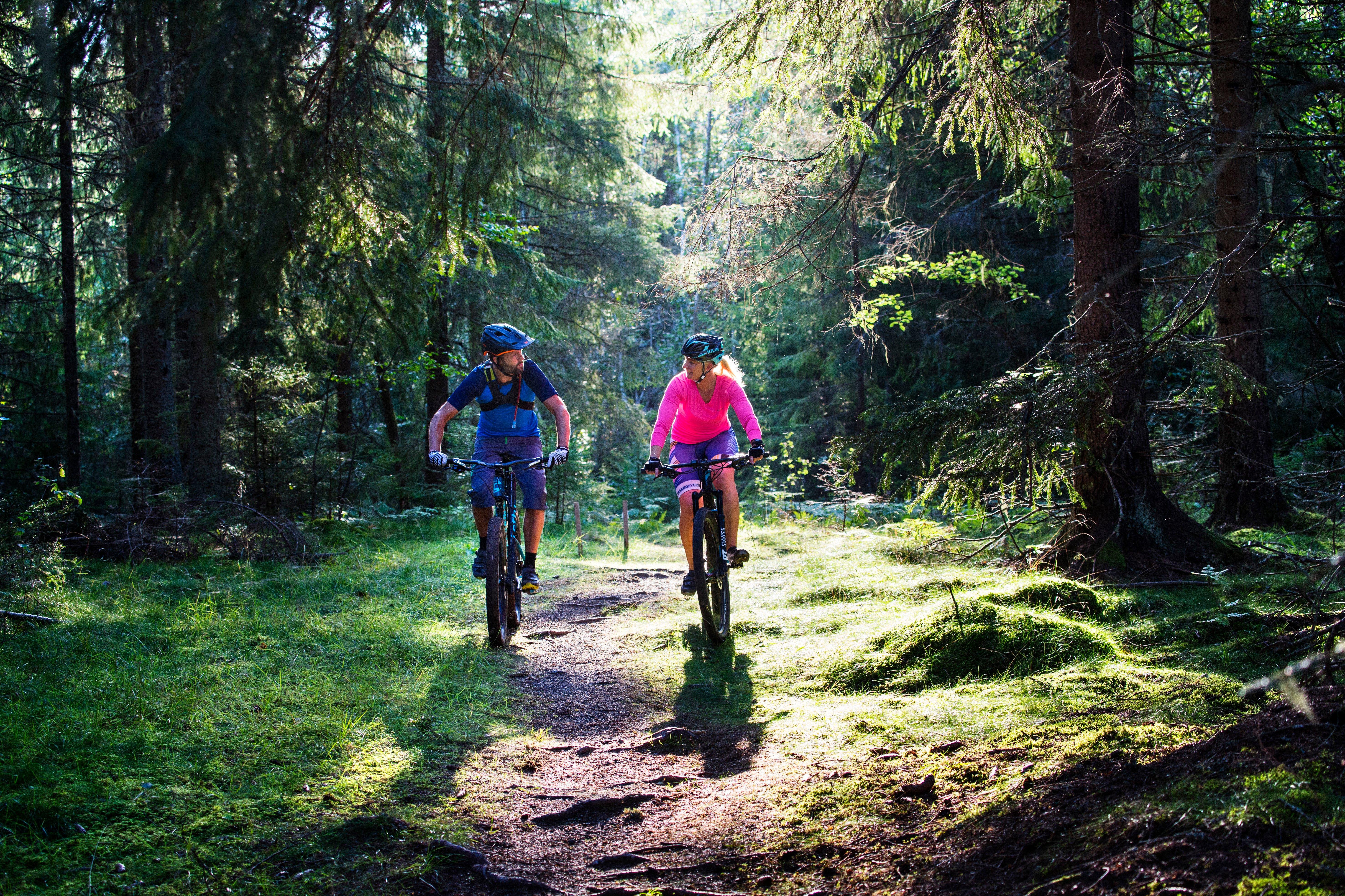 Cykla, vandra eller spring på fina banor och stigar i Sundsbergs friluftsområde i Sunne. På vintern finns skidspår.