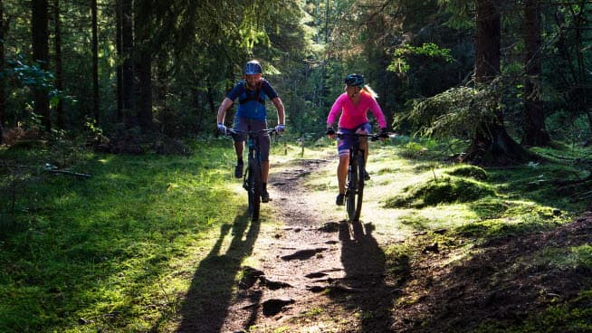 Två personer som cyklar på skogsväg.
