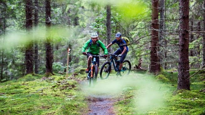 Bild på cyklister i skog
