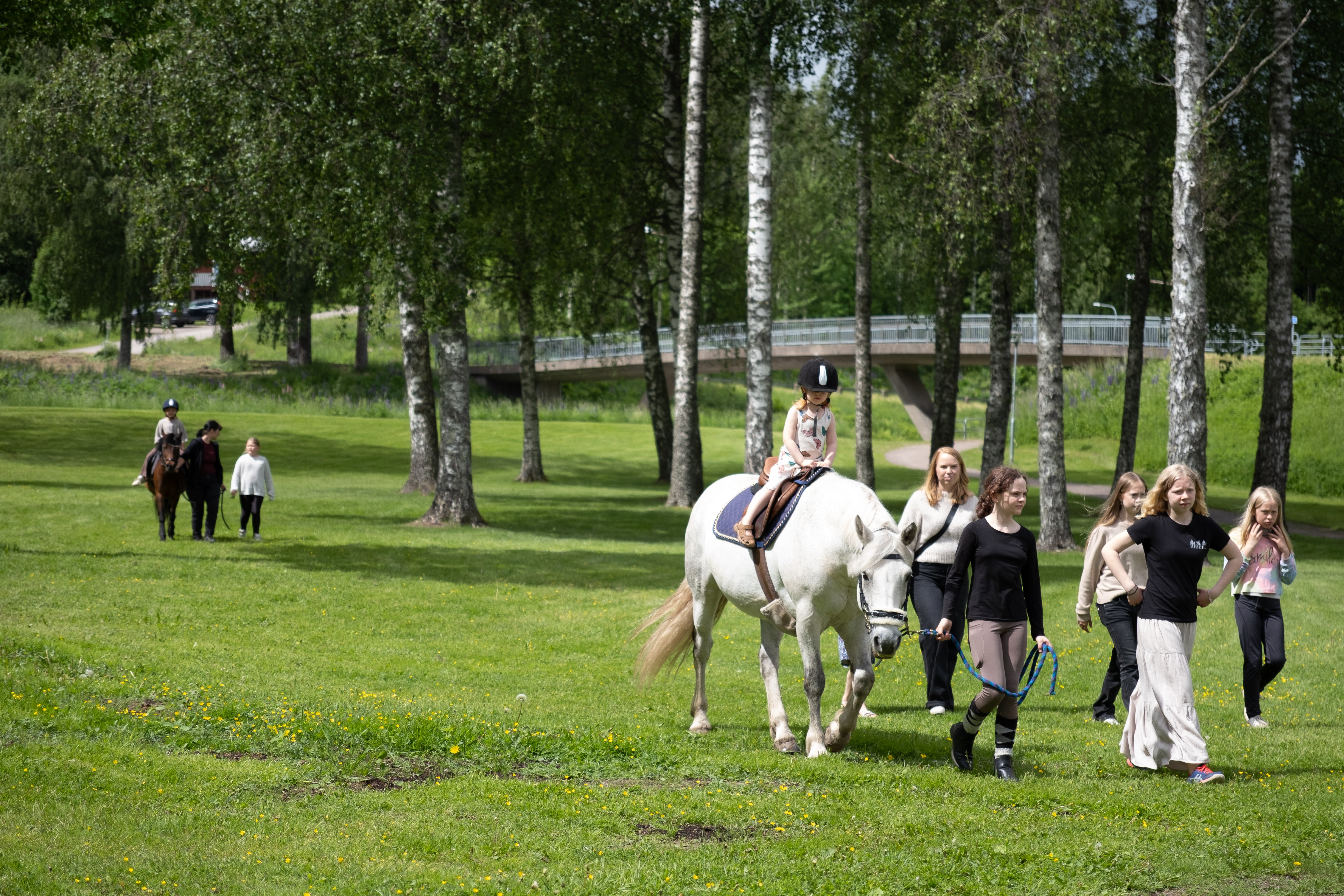 Ponnyridning