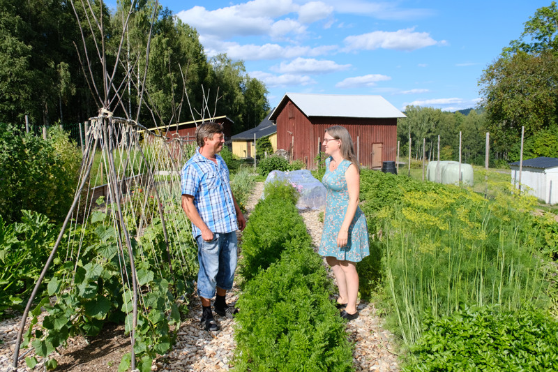 Maria och Thomas H&ouml;rberg har stora planer f&ouml;r sin g&aring;rd i Gr&auml;smark