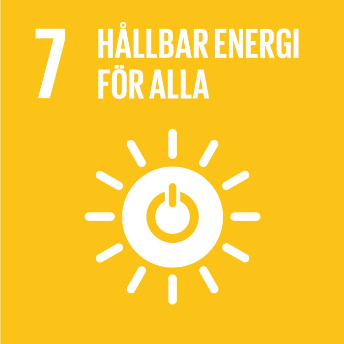 Globala m&aring;len - m&aring;l 7, h&aring;llbar energi f&ouml;r alla.
