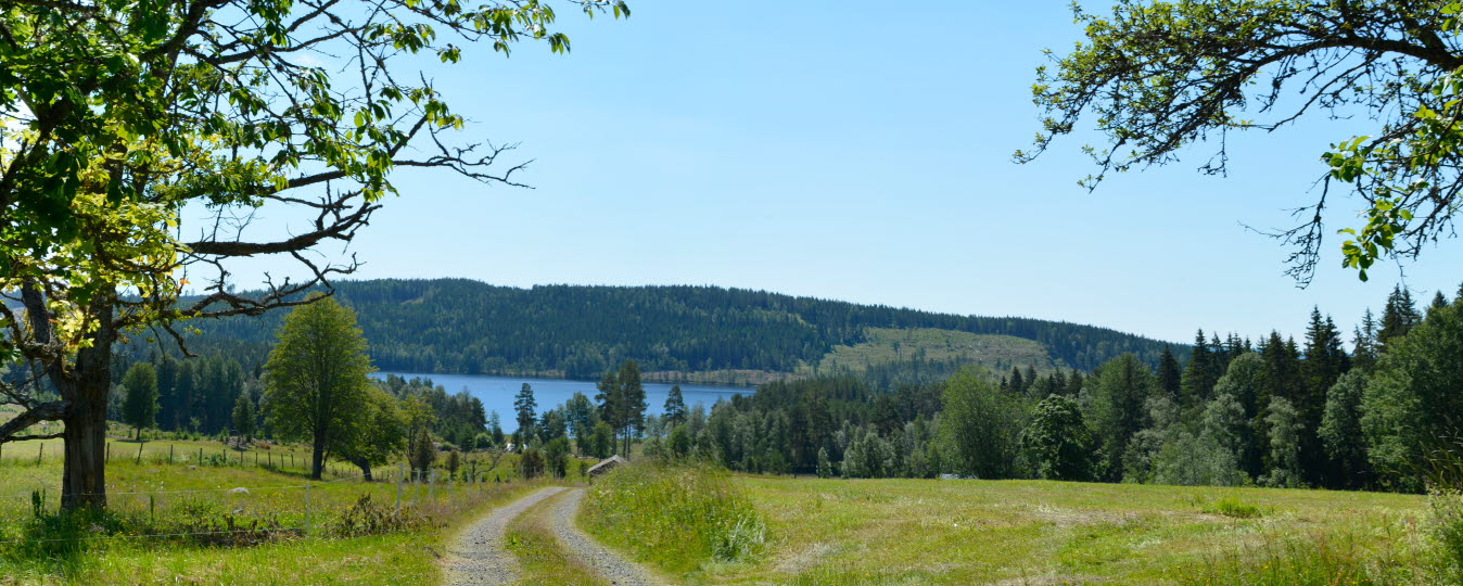 Vy mot en sjö i Ängen.