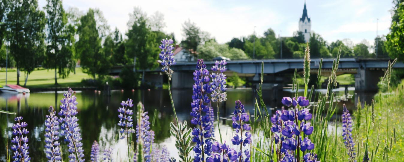 Aktivera alla dina sinnen på upplevelsepromenad i Sunne