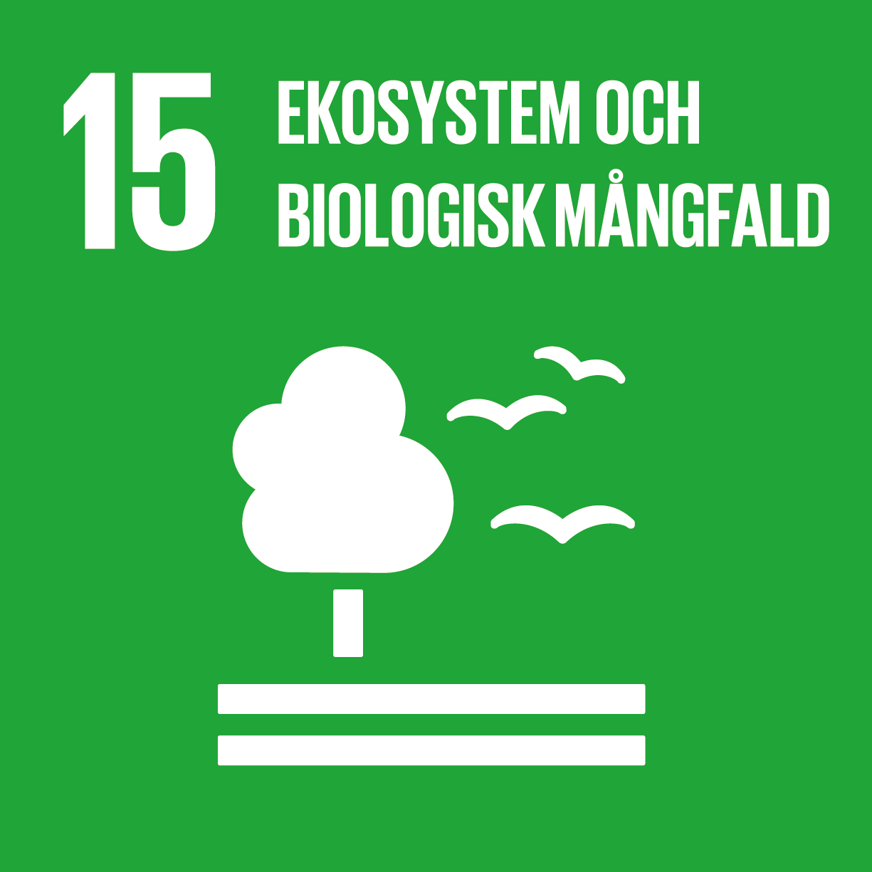 Globala målen - mål 15, ekosystem och biologisk mångfald.