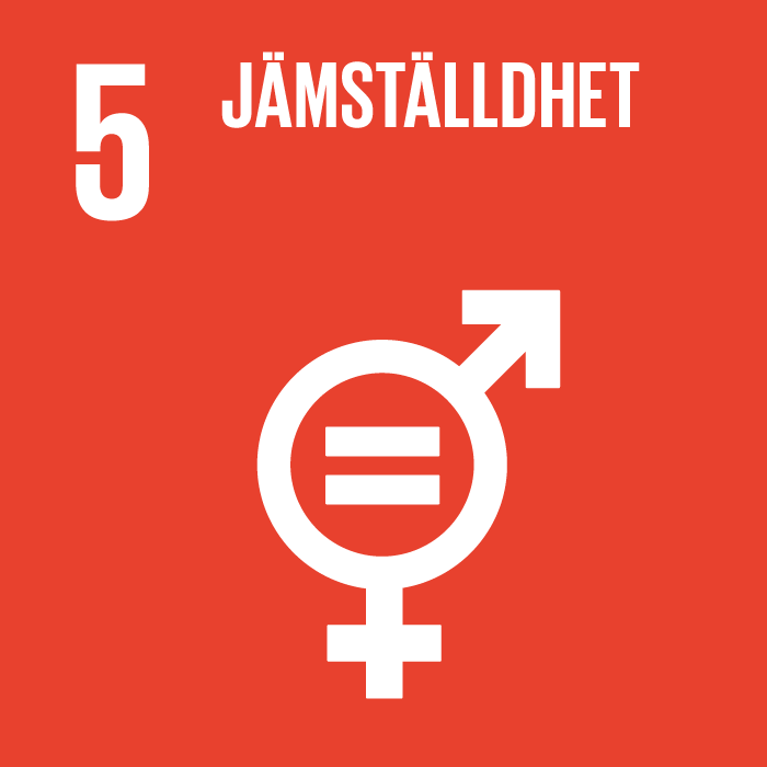 Globala målen - mål 5, jämställdhet.