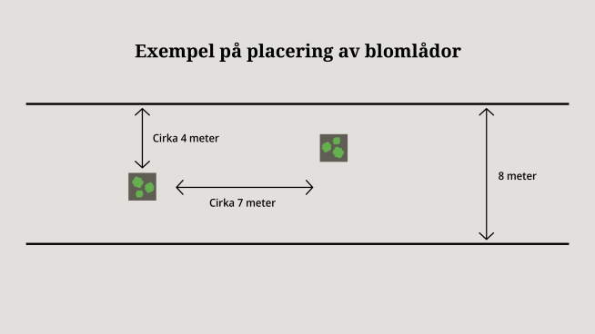 Om gatan är 8 meter bred ska blomlådorna placeras cirka 4 meter ut från vägkanten, och cirka 7 meter mellan vardera blomlåda.