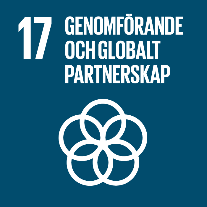 Globala målen - mål 17, genomförande och globalt partnerskap.